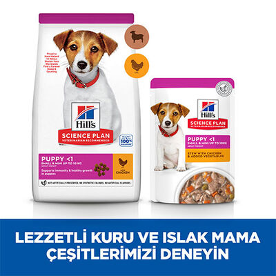 Hill’s SCIENCE PLAN Puppy Small & Mini Lamb & Rice Küçük Irk Kuzulu Yavru Köpek Maması 3 Kg 