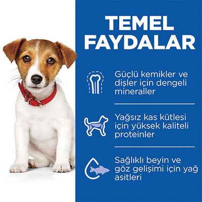Hill’s SCIENCE PLAN Puppy Small & Mini Lamb & Rice Küçük Irk Kuzulu Yavru Köpek Maması 6 Kg 