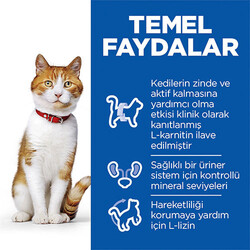 Hill’s SCIENCE PLAN Sterilised Somon Balıklı Kısırlaştırılmış Kedi Maması 3 Kg - Thumbnail
