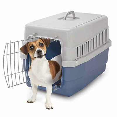 İmac Carry 60 Kedi ve Köpek Taşıma Kabı 