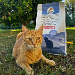 Kito Doğal Besi Kuzu Etli Kısır Kedi Maması 2 Kg - Thumbnail