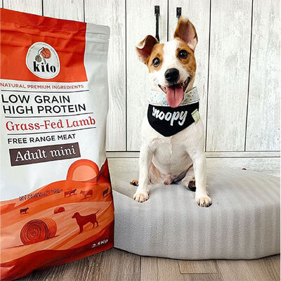 Kito Doğal Besi Kuzu Etli Mini Irk Yetişkin Köpek Maması 2,5 Kg 