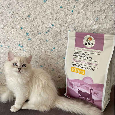 Kito Doğal Besi Kuzu Etli Yavru Kedi Maması 2 Kg 