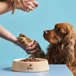 Kito Doğal Besi Kuzu Etli Yavru Köpek Maması 2,5 Kg - Thumbnail