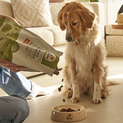 Kito Doğal Besi Kuzu Etli Yetişkin Köpek Maması 2,5 Kg - Thumbnail