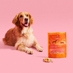 Kito Dondurularak Kurutulmuş Somonlu Köpek Ödülü 30 Gr - Thumbnail