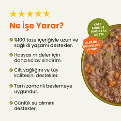 Kito Fresh Kuzu Etli Hipoalerjenik Taze Köpek Yemeği 250 Gr - Thumbnail