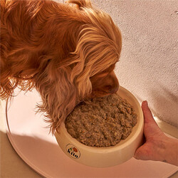 Kito Fresh Kuzu Etli Hipoalerjenik Taze Köpek Yemeği 250 Gr - Thumbnail