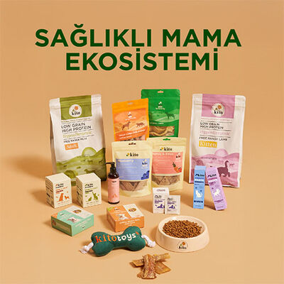 Kito Fresh Kuzu Etli Hipoalerjenik Taze Köpek Yemeği 250 Gr 