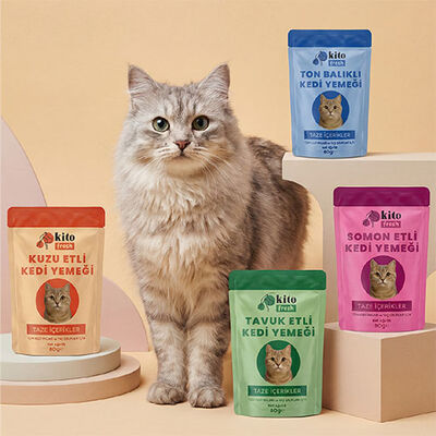 Kito Fresh Somonlu Hipoalerjenik Taze Kedi Yemeği 80 Gr 
