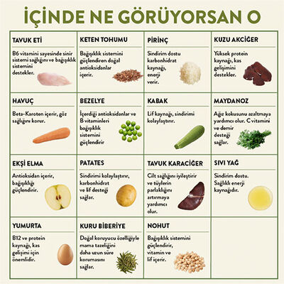 Kito Fresh Tavuk Etli Hipoalerjenik Taze Köpek Yemeği 250 Gr 
