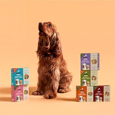 Kito Fresh Tavuk Etli Hipoalerjenik Taze Köpek Yemeği 250 Gr 