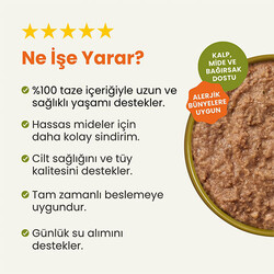 Kito Fresh Ton Balıklı Hipoalerjenik Taze Kedi Yemeği 80 Gr - Thumbnail