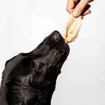 Kito Kurutulmuş Kuzu Kulak Köpek Ödülü 100 Gr 