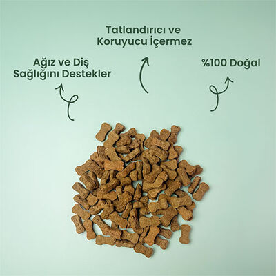 Kito Muz ve Balkabaklı Köpek Ödül Kurabiyesi 150 Gr 
