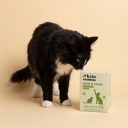 Kito Skin Coat Tüy Sağlığını Destekleyici Kedi Multivitamini 50 ml - Thumbnail