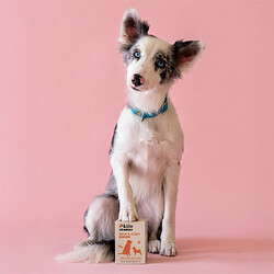 Kito Skin Coat Tüy Sağlığını Destekleyici Köpek Multivitamini 50 ml - Thumbnail