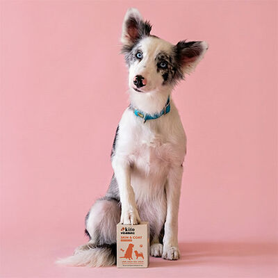 Kito Skin Coat Tüy Sağlığını Destekleyici Köpek Multivitamini 50 ml 