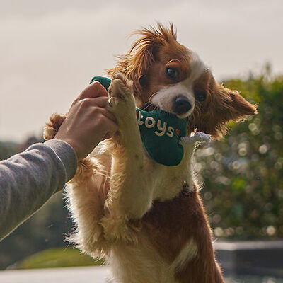 Kito Toys Kemik Peluş Köpek Oyuncağı 