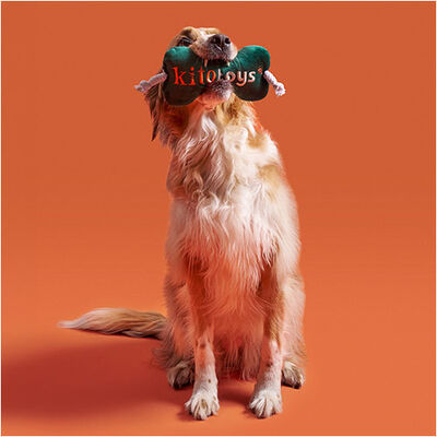 Kito Toys Kemik Peluş Köpek Oyuncağı 