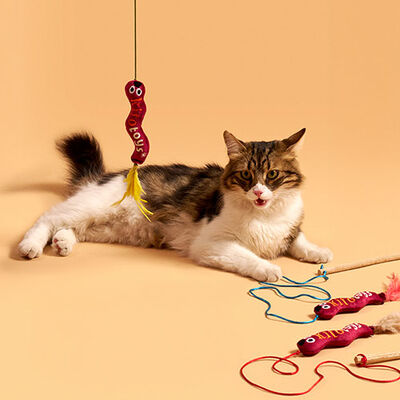 Kito Toys Solucan Peluş Kedi Oyuncağı 