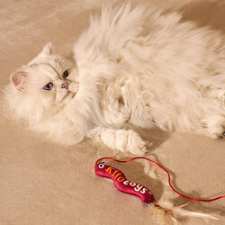 Kito Toys Solucan Peluş Kedi Oyuncağı - Thumbnail