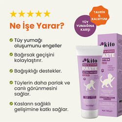 Kito Tüy Yumağı Önleyici Yavru Kedi Malt Macunu ve Multivitamin Paste 100 gr - Thumbnail