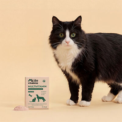 Kito Vitamins Bağışıklık Sistemi Destekleyici Kedi ve Köpek Multivitamini 2x15 Gr 