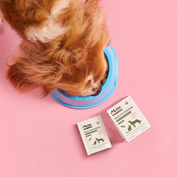 Kito Vitamins Bağışıklık Sistemi Destekleyici Kedi ve Köpek Multivitamini 2x15 Gr - Thumbnail