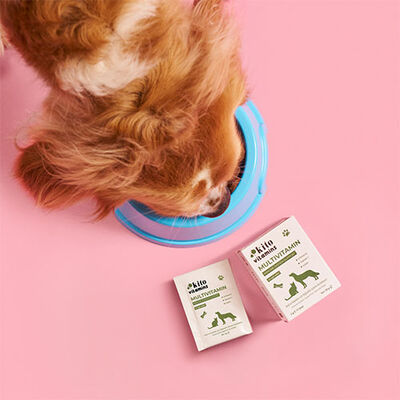 Kito Vitamins Bağışıklık Sistemi Destekleyici Kedi ve Köpek Multivitamini 2x15 Gr 