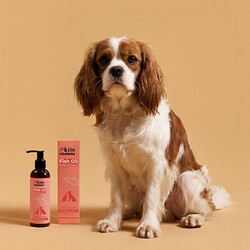 Kito Vitamins Balık Yağı Tüy Dökülme Karşıtı Kedi ve Köpek Takviyesi 200 ml - Thumbnail