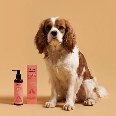 Kito Vitamins Balık Yağı Tüy Dökülme Karşıtı Kedi ve Köpek Takviyesi 200 ml 