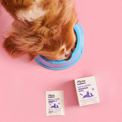 Kito Vitamins Hip & Joint Kedi ve Köpek Eklem Destekleyici Multivitamini 2x15 Gr 