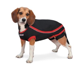 Kong - Kong Anksiyete Giderici Köpek Elbisesi S