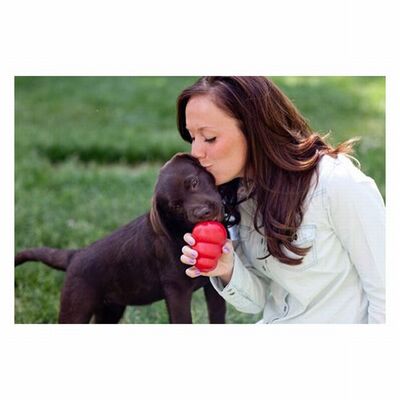 Kong Classic Kauçuk Köpek Oyuncağı Medium 9 Cm 