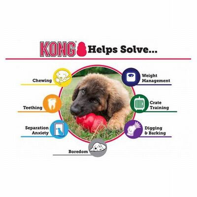 Kong Classic Kauçuk Köpek Oyuncağı XXL 15,5 Cm 