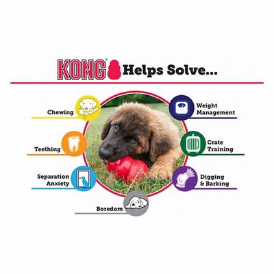 Kong Extreme Kauçuk Köpek Oyuncağı Medium 9 Cm 