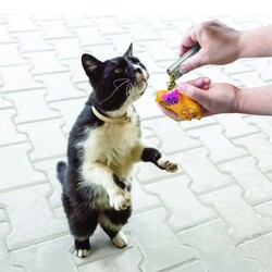 Kong Kedi Otu 3 Tüp - Thumbnail