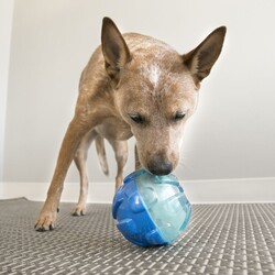 Kong Rewards Ödüllü Köpek Oyuncağı Large 17 Cm - Thumbnail