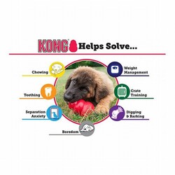 Kong Puppy Kauçuk Küçük ve Orta Irk Yavru Köpek Oyuncağı Medium 9 Cm - Thumbnail