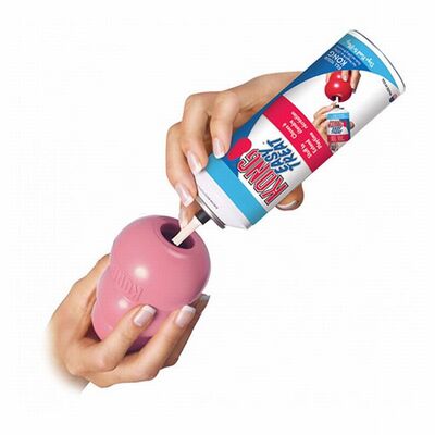 Kong Puppy Kauçuk Küçük Irk Yavru Köpek Oyuncağı XS 6 Cm 