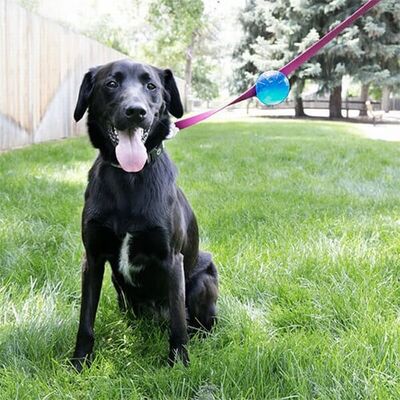 Kong TagAlong Gezdirme Kayışına Asılabilir Top Köpek Oyuncağı Medium 