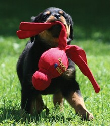 Kong Wubba Sesli Kumaş Köpek Oyuncağı Large 34 Cm - Thumbnail
