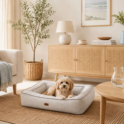 Lepus Comfort Kedi ve Köpek Yatağı Medium Gri 80x55x17 Cm 