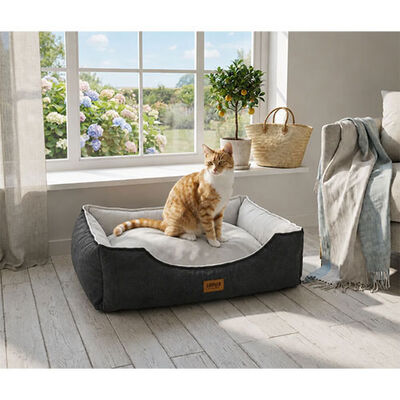 Lepus Dolce Premium Kedi ve Köpek Yatağı Antrasit Medium 