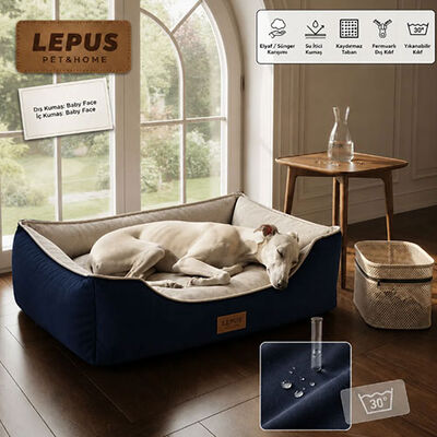 Lepus Dolce Premium Kedi ve Köpek Yatağı Mavi Large 
