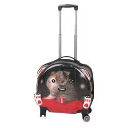 Lepus Şeffaf Tekerlekli Kedi Köpek Taşıma Valizi Çekçekli Büyük Model Gri - Thumbnail