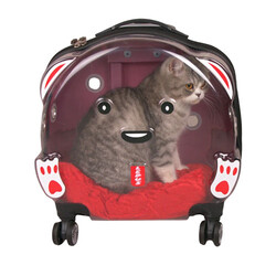 Lepus Şeffaf Tekerlekli Kedi Köpek Taşıma Valizi Çekçekli Büyük Model Pembe - Thumbnail