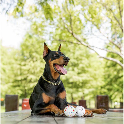 M-Pets Bloom Ball Parçalanmaz Top Köpek Oyuncağı Beyaz 7 Cm 