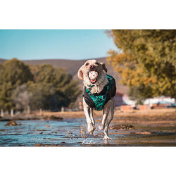 M-Pets Bloom Ball Parçalanmaz Top Köpek Oyuncağı Beyaz 7 Cm - Thumbnail